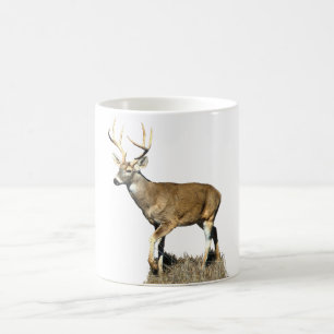 White Tailed Deer Buck Magic Mug
