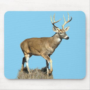 White Tailed Deer Buck Mouse Mat