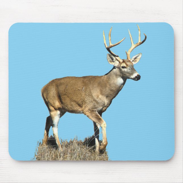 White Tailed Deer Buck Mouse Mat (Front)