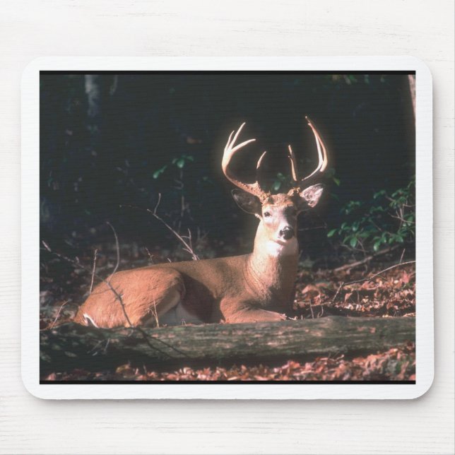 White Tailed Deer Buck Photo Mouse Mat (Front)