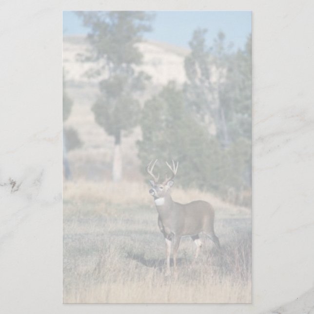White-tailed deer buck stationery (Front)