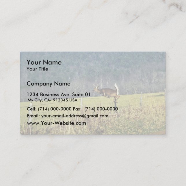 White-tailed Deer Business Card (Front)
