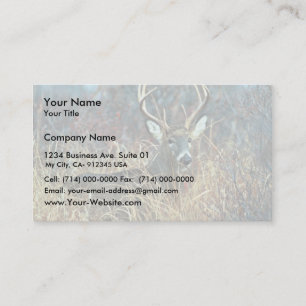 White-tailed Deer Business Card