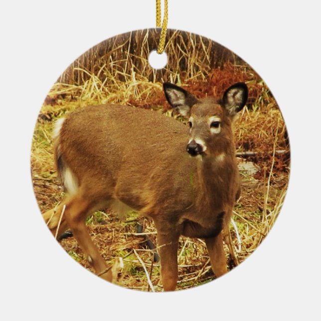 White Tailed Deer Ceramic Tree Decoration (Front)