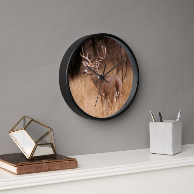 White Tailed Deer |  Choke Canyon State Park, TX Clock (Office)