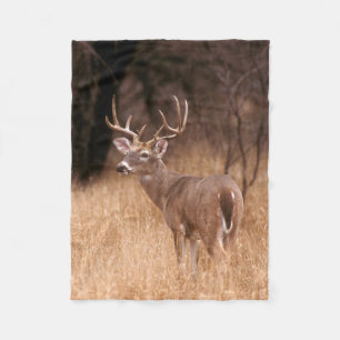 White Tailed Deer Choke Canyon State Park, TX Fleece Blanket