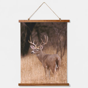 White Tailed Deer Choke Canyon State Park, TX Hanging Tapestry