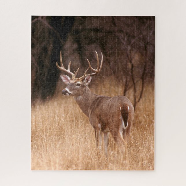 White Tailed Deer |  Choke Canyon State Park, TX Jigsaw Puzzle (Vertical)