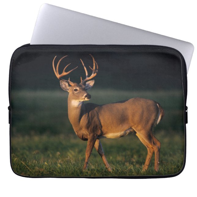 White-tailed Deer | Choke Canyon State Park, TX Laptop Sleeve (Front)