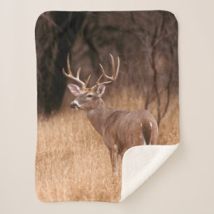 White Tailed Deer    Choke Canyon State Park, TX Sherpa Blanket