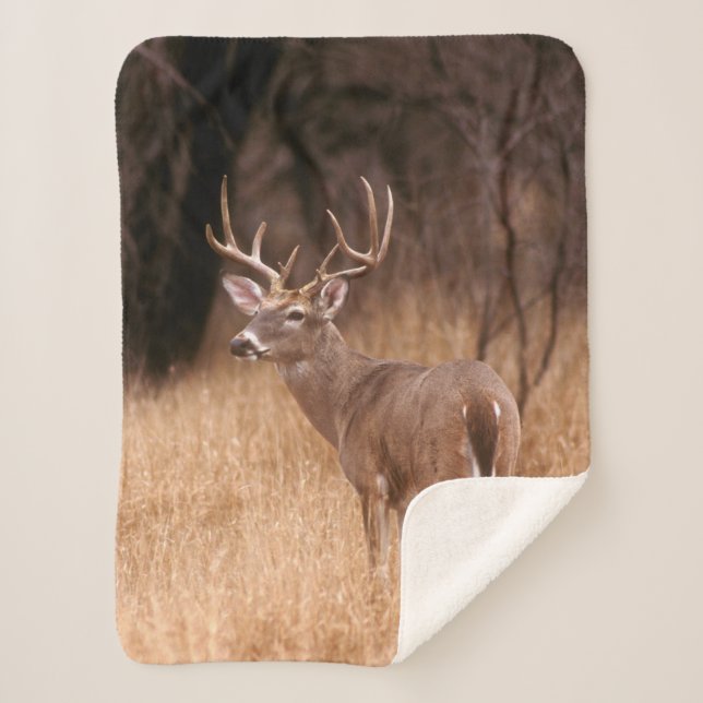 White Tailed Deer |  Choke Canyon State Park, TX Sherpa Blanket (Front)