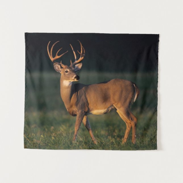 White-tailed Deer | Choke Canyon State Park, TX Tapestry (Front (Horizontal))