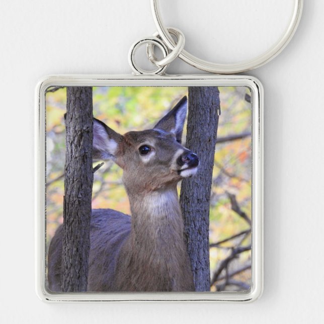 White Tailed Deer close up in the woods Key Ring (Front)