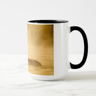 White-tailed Deer Crossing Lake Mug
