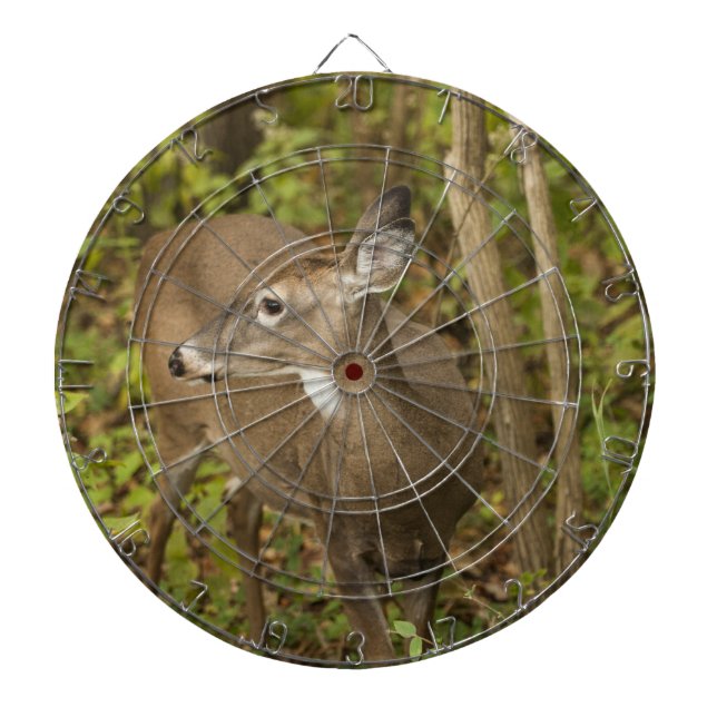 White Tailed Deer Dartboard (Front)