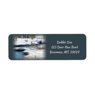 White-tailed Deer Doe at River