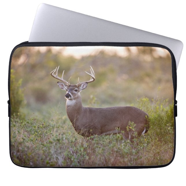 White-tailed Deer | Fall in Texas Laptop Sleeve (Front)