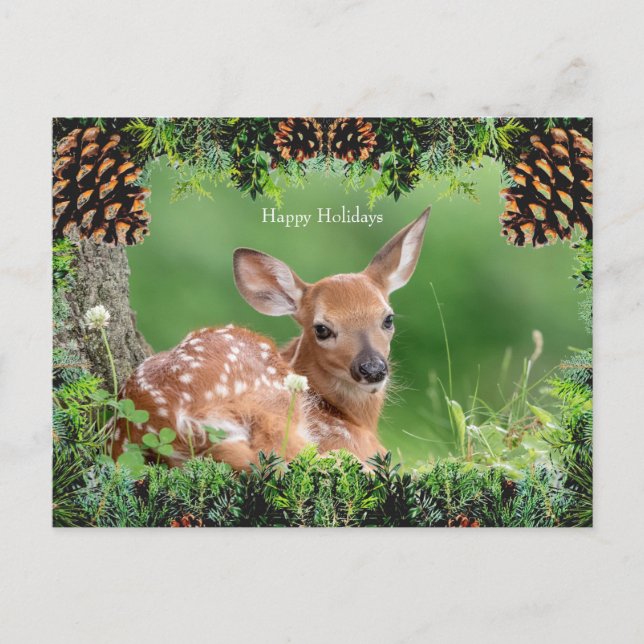 White-Tailed Deer Fawn Christmas Card (Front)