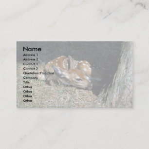 White-tailed Deer-fawn lying by tree Business Card