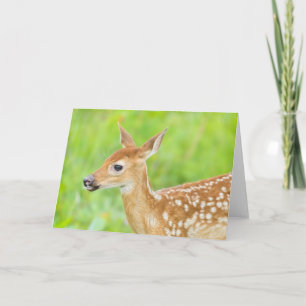 White-Tailed Deer Fawn   Minnesota Card