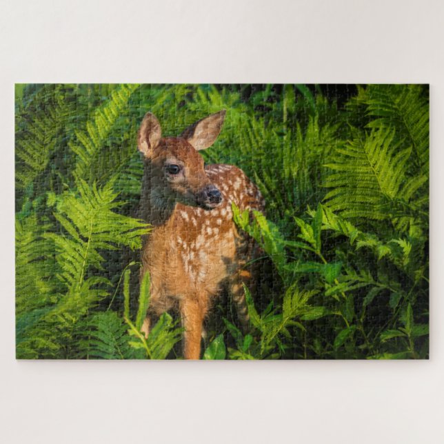 White-tailed Deer Fawn | Minnesota Jigsaw Puzzle (Horizontal)