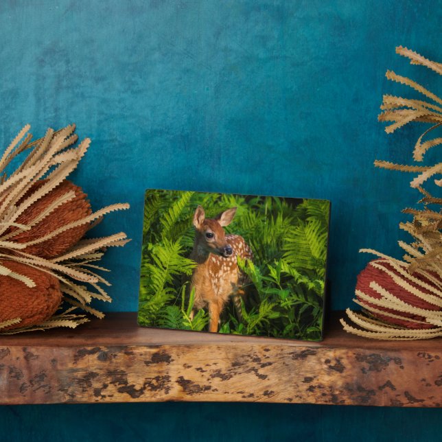 White-tailed Deer Fawn | Minnesota Plaque (Side)