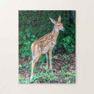White-Tailed Deer Fawn Puzzle