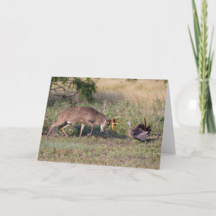 White-tailed Deer Fighting Wild Turkey Card