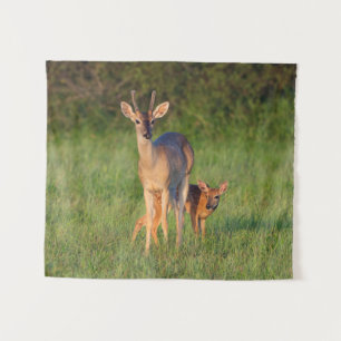White-tailed Deer Grassy Habitat Tapestry