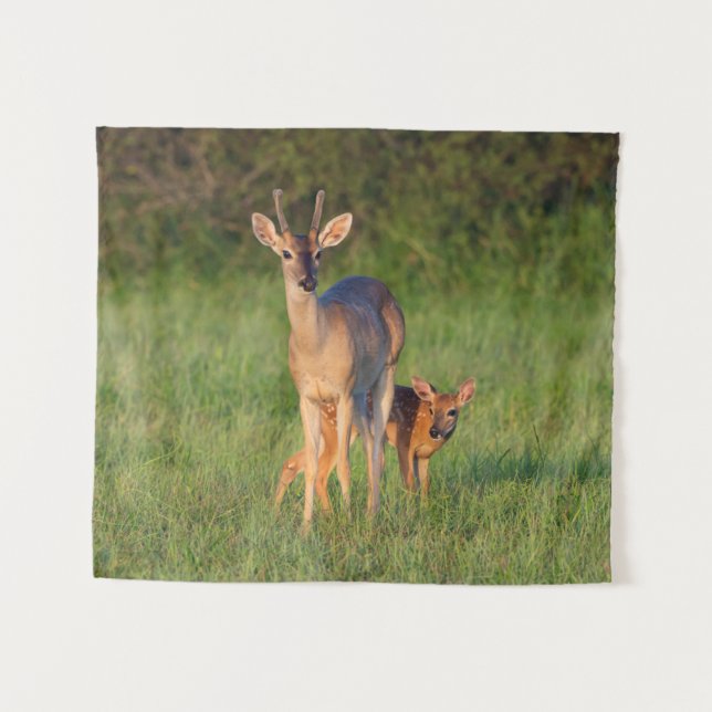 White-tailed Deer | Grassy Habitat Tapestry (Front (Horizontal))