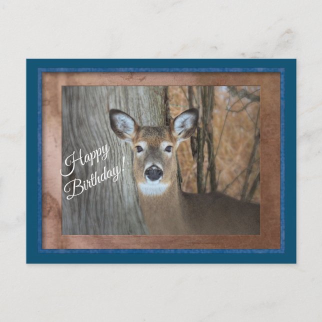 White Tailed Deer Happy Birthday Postcard (Front)