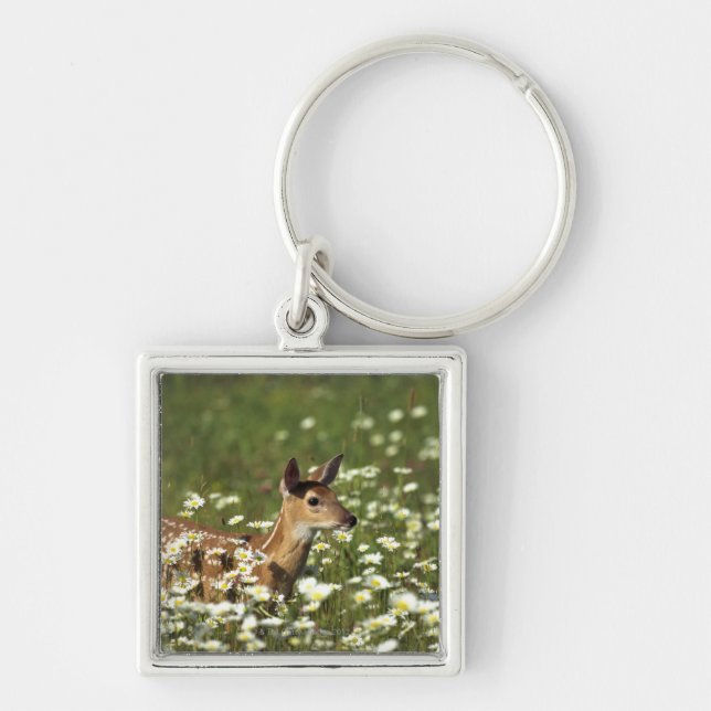 White-tailed Deer in Field of Flowers Key Ring (Front)