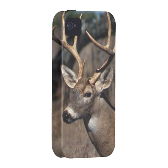 White-Tailed Deer - iPhone 4 Cover (Back/Right)