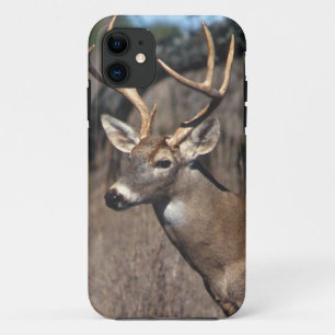 White-Tailed Deer - iPhone 5 Cover