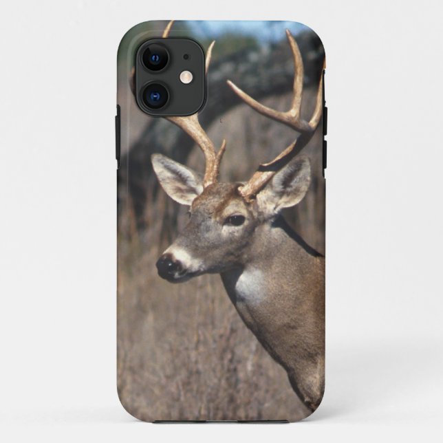White-Tailed Deer - iPhone 5 Cover (Back)
