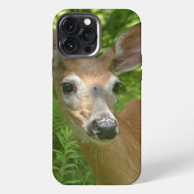 White Tailed Deer  iPhone Case (Back)