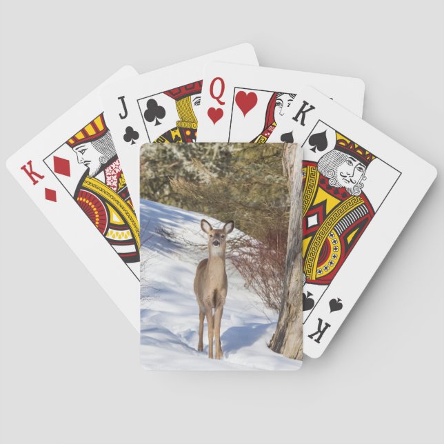 White-tailed Deer Looking At You Playing Cards (Back)