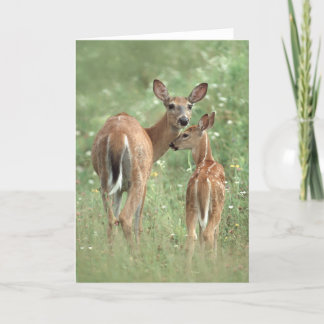 White-tailed deer mother and fawn card