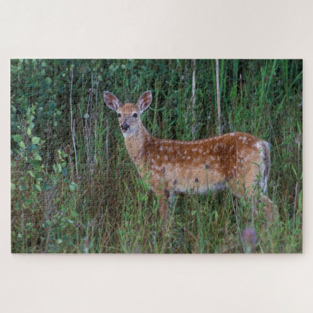 White-tailed Deer | National Bison Range Montana Jigsaw Puzzle (Horizontal)