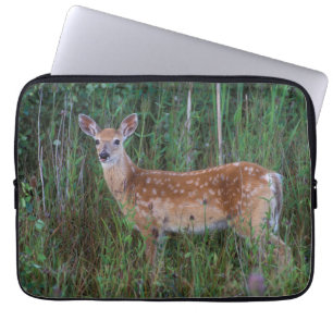 White-tailed Deer   National Bison Range Montana Laptop Sleeve
