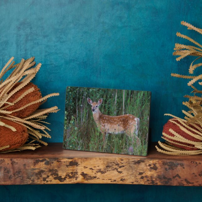 White-tailed Deer | National Bison Range Montana Plaque (Side)
