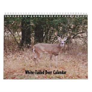 White-Tailed Deer Nature Calendar