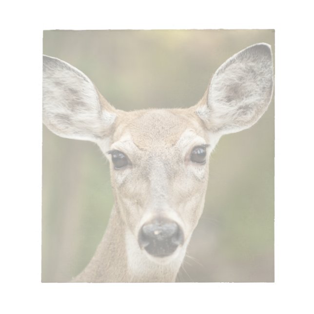 White Tailed Deer Notepad (Front)