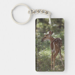 White-tailed Deer, Odocoileus virginianus Key Ring