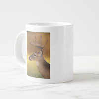 White-tailed Deer, Odocoileus virginianus,