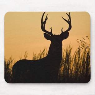 white-tailed deer Odocoileus virginianus) Mouse Mat