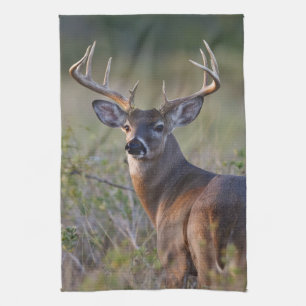 white-tailed deer Odocoileus virginianus Tea Towel