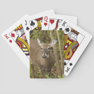 White Tailed Deer Playing Cards