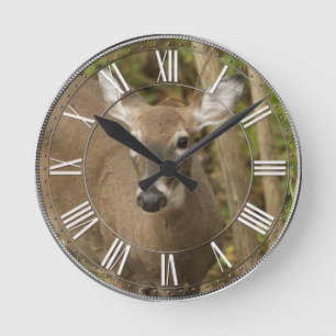 White Tailed Deer Round Clock