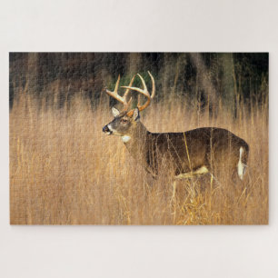 White-tailed Deer Smoky Mountains Tennessee Jigsaw Puzzle